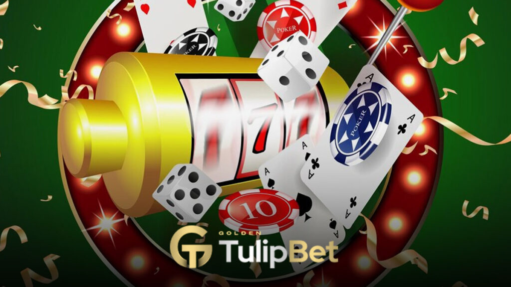 Tulipbet Belge Talebi: Gerekli mi? Ne Zaman İstenir?